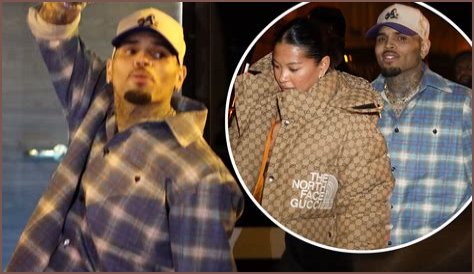 Understanding Chris Brown's Partner: A Comprehensive Overview